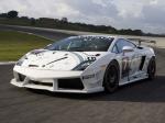 Lamborghini Gallardo LP560-4 Super Trofeo 2008 года